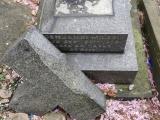 image of grave number 684326
